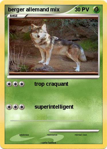 Pokemon berger allemand mix