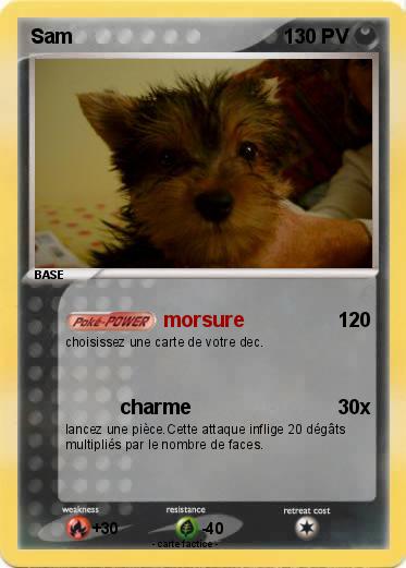 Pokemon Sam