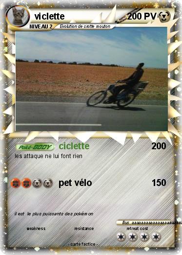 Pokemon viclette