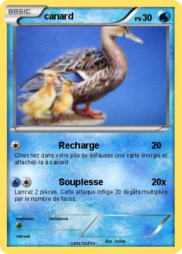 Pokemon canard