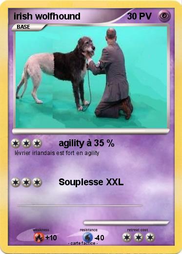 Pokemon irish wolfhound