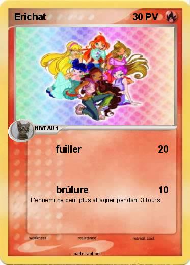 Pokemon Erichat