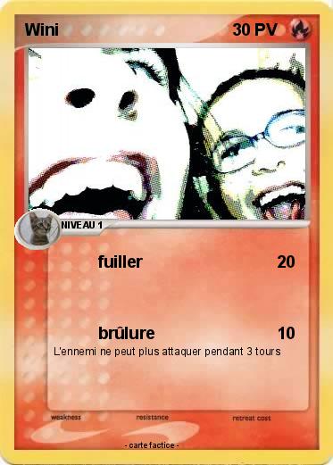 Pokemon Wini