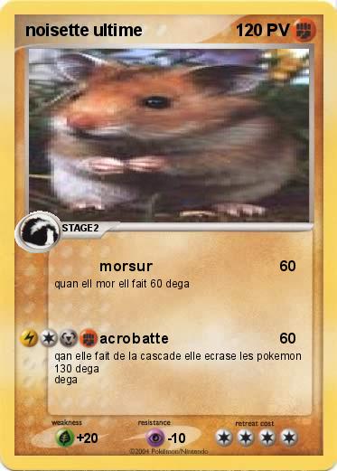 Pokemon noisette ultime