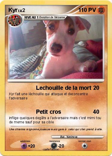 Pokemon Kyr