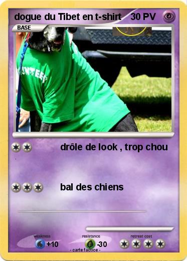 Pokemon dogue du Tibet en t-shirt