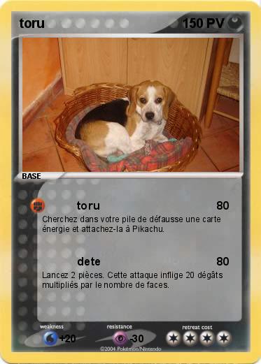 Pokemon toru