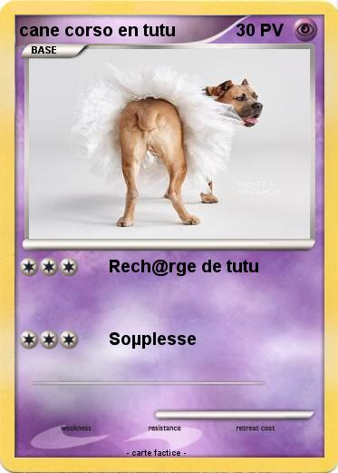 Pokemon cane corso en tutu