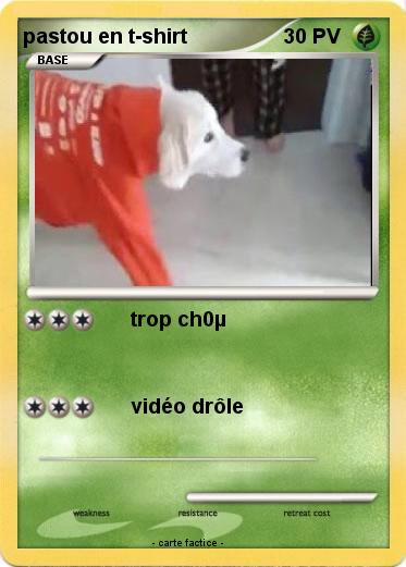 Pokemon pastou en t-shirt