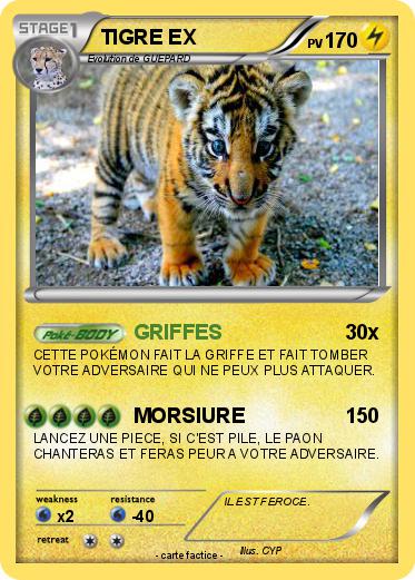 Pokemon TIGRE EX