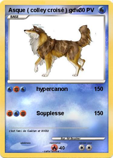 Pokemon Asque ( colley croisé ) gdw