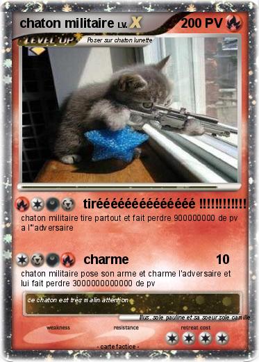 Pokemon chaton militaire
