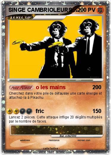Pokemon SINGE CAMBRIOLEURS