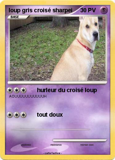 Pokemon loup gris croisé sharpei