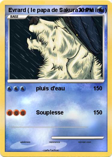 Pokemon Evrard ( le papa de Sakura kishu inu )