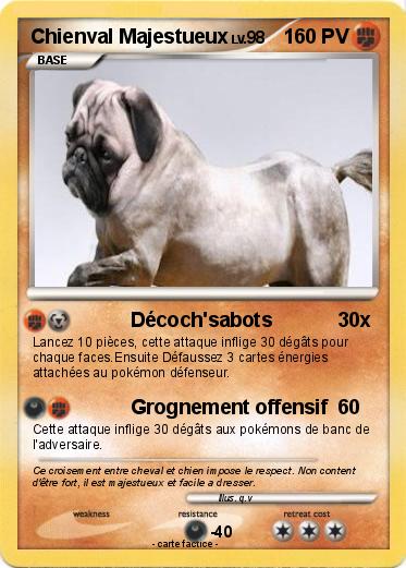 Pokemon Chienval Majestueux