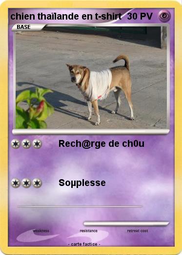 Pokemon chien thaïlande en t-shirt