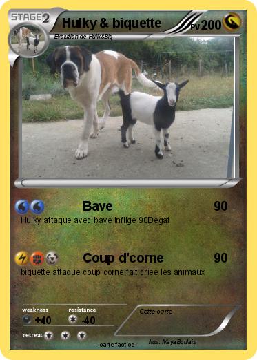 Pokemon Hulky & biquette