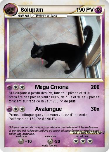 Pokemon Solupam