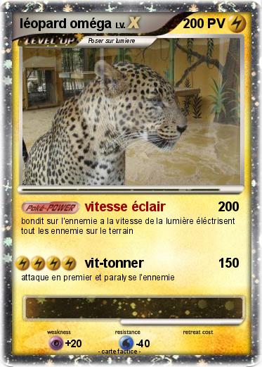 Pokemon léopard oméga