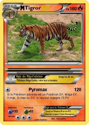Pokemon Tigror