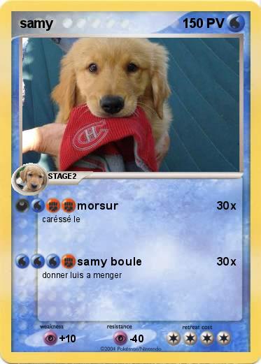 Pokemon samy