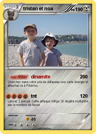 Pokemon tristan et noa