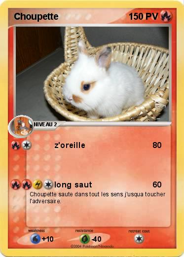 Pokemon Choupette