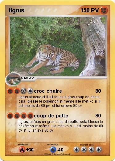 Pokemon tigrus