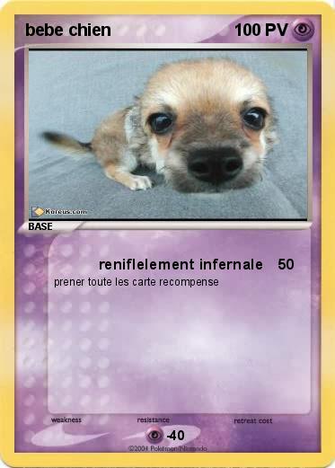 Pokemon bebe chien