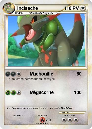 Pokemon Incisache