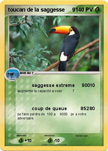 Pokemon toucan de la saggesse     9