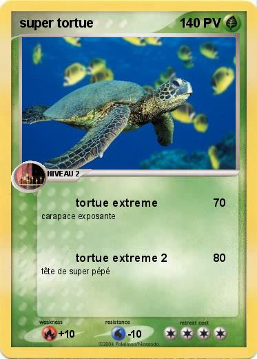 Pokemon super tortue 