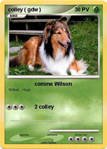 Pokemon colley ( gdw )