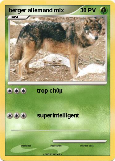 Pokemon berger allemand mix