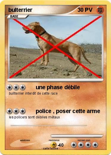 Pokemon bulterrier