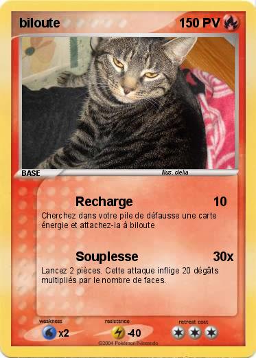 Pokemon biloute