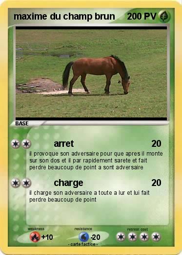 Pokemon maxime du champ brun
