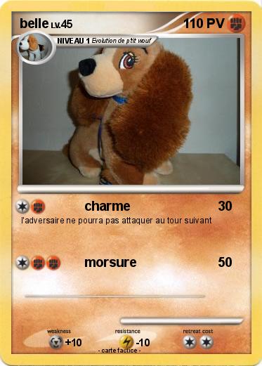 Pokemon belle