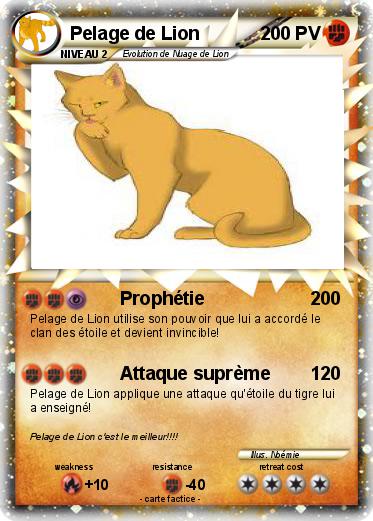 Pokemon Pelage de Lion
