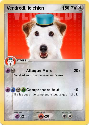 Pokemon Vendredi, le chien