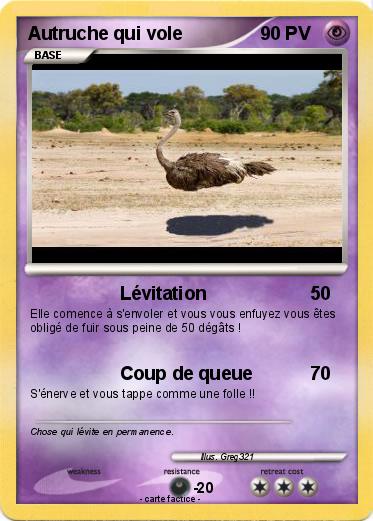 Pokemon Autruche qui vole