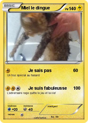 Pokemon Miel le dingue
