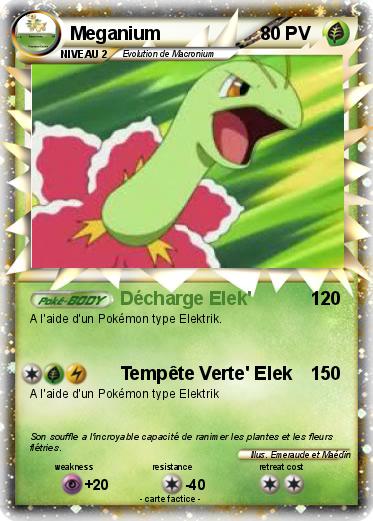 Pokemon Meganium