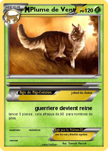 Pokemon Plume de Vent