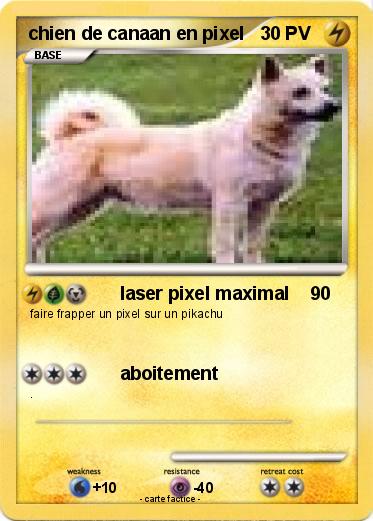 Pokemon chien de canaan en pixel
