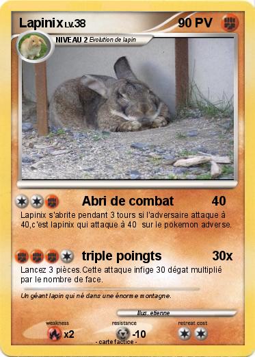Pokemon Lapinix