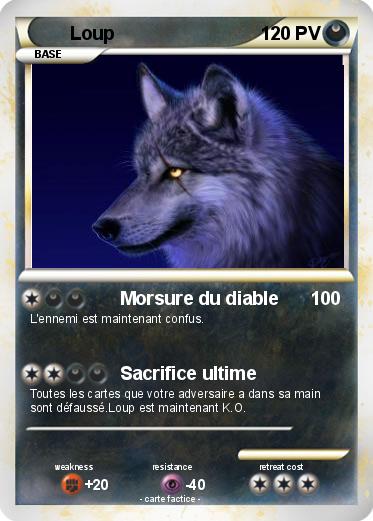 Pokemon Loup