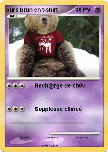 Pokemon ours brun en t-shirt