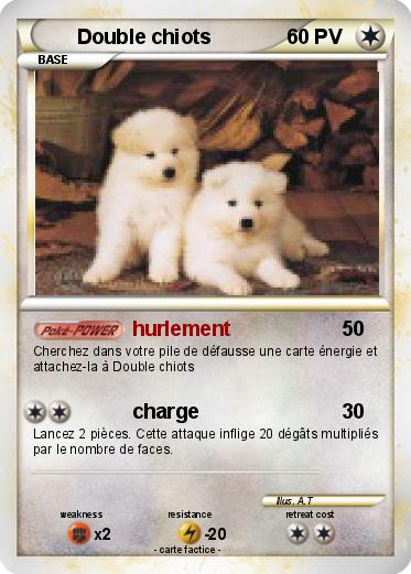 Pokemon Double chiots